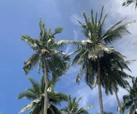 Pantai Batu Tabuan