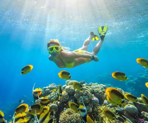 Snorkeling day