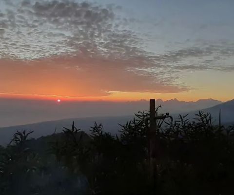 New Bali Camp