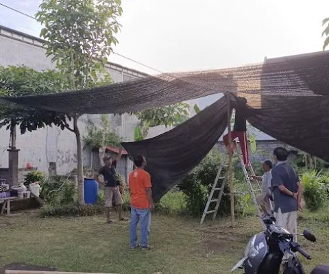 Kebun Berdaya Natah Rare