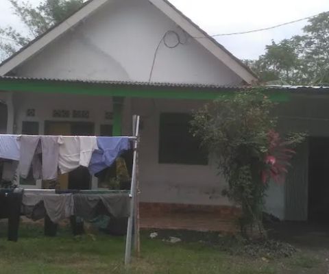Juragan jagung