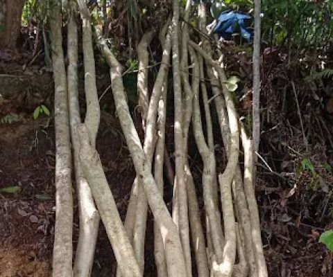 Menjalin tali silaturahmi Nusantara