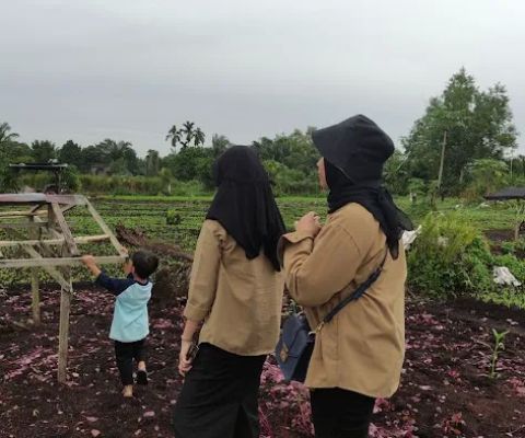 Perkebunan Sayur Warga RT 6