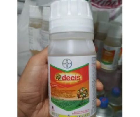 Jasa perawatan Taman