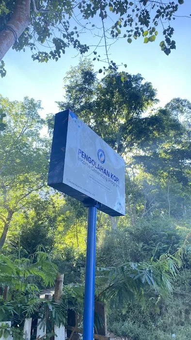 Edu Ecowisata Kopi Sangkabira Sembalun 2