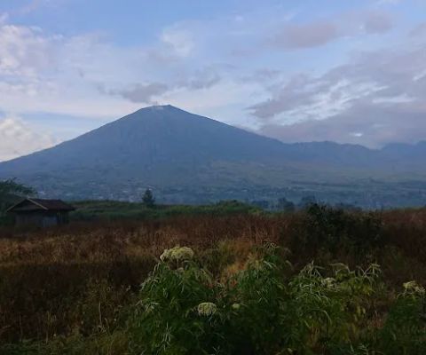 Kebun Apel Rautani Sembalun