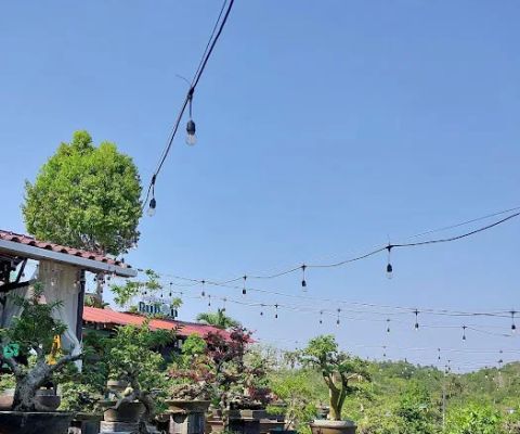 Rumah Bonsai