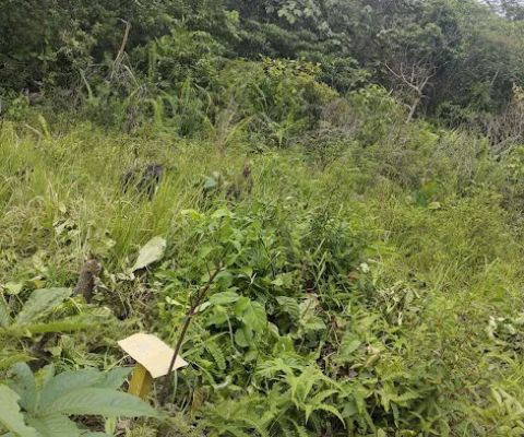 Taman wanokuni onigasima