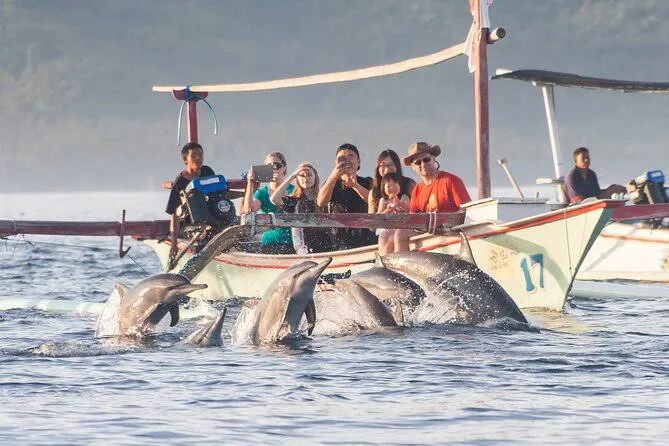 Dolphin Kwak lovina 1