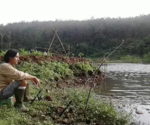 Pancing