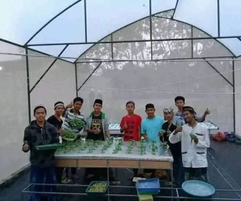 Taman Pertanian Walisongo