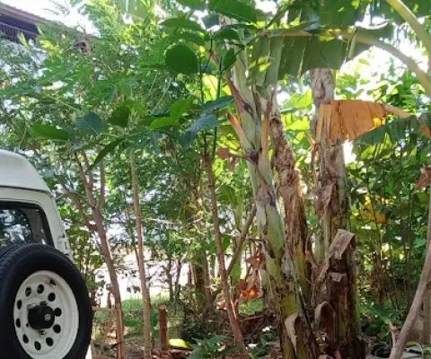 Kebun Raden Wijaya III