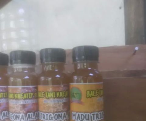 Bale madu senggigi