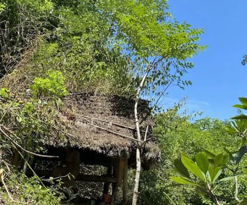 Dimol Nyuhung Beten Banjar