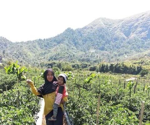 Biking Trip Sembalun