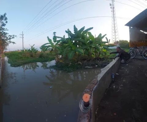 Spot Mancing Lingkung