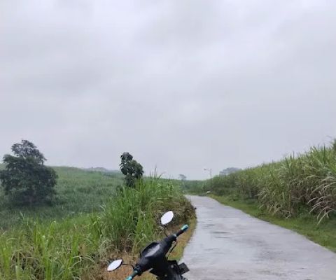Selomangkleng