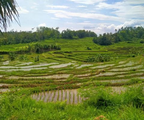 Beten Gunung Sondoh, Parpara, Kembang Sari ᬩᬾᬢᬾᬦ᭄ᬕᬸᬦᬸᬂᬲᭀᬦ᭄ᬤᭀᬄ᭞ᬧᬃᬧᬭ᭞ᬓᭂᬫ᭄ᬩᬂᬲᬭᬶ᭟