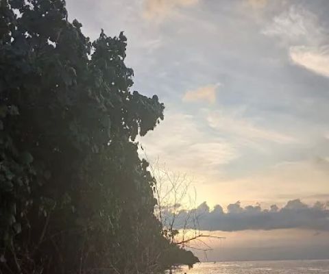 Sewa Kano Kalianget