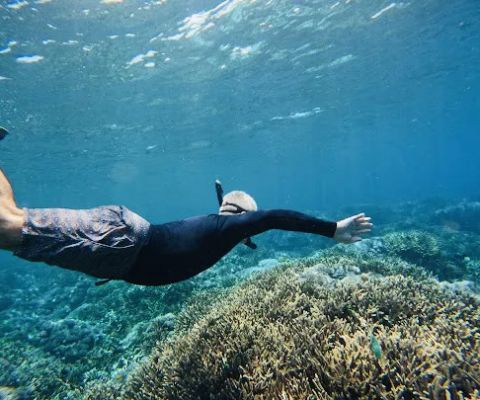 The Wall (snorkeling place)