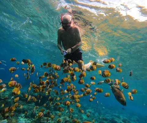 Blue Ocean Tour Nusa Penida