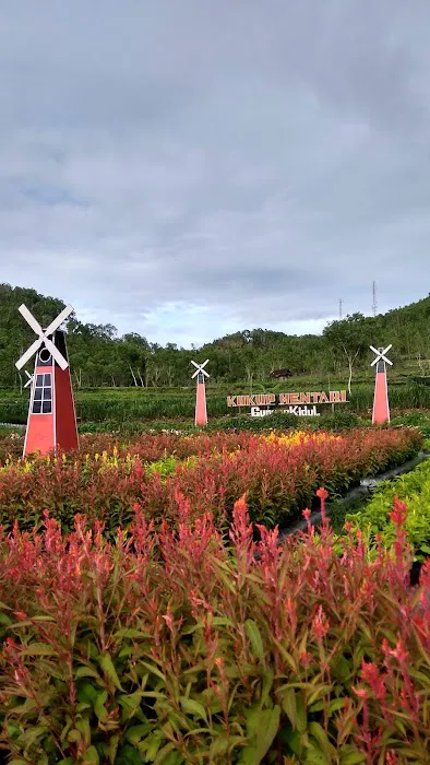 Taman Bunga Kukup Mentari 8