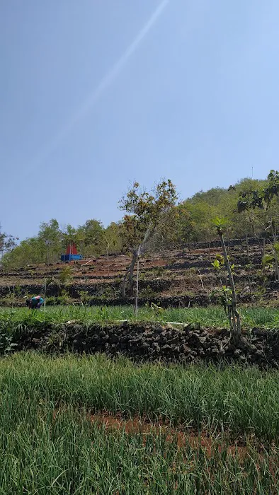 Taman Bunga Kukup Mentari 6