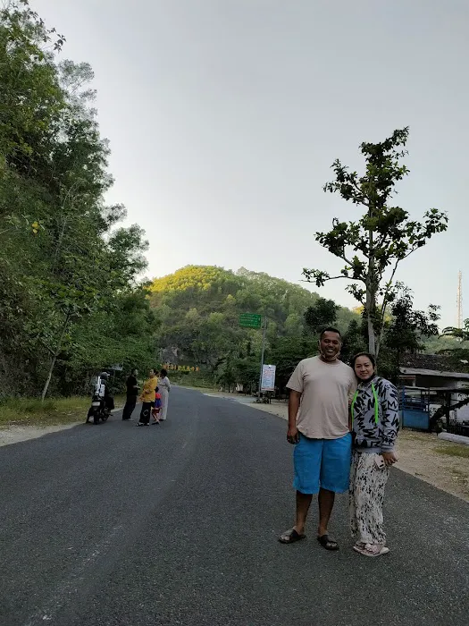 Taman Bunga Celosia Pantai Baron 5