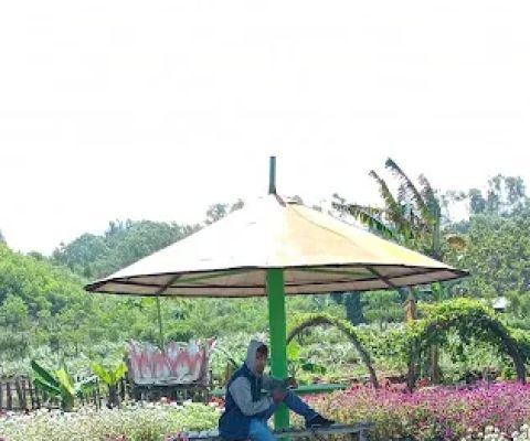 Taman Bunga Celosia Pantai Baron