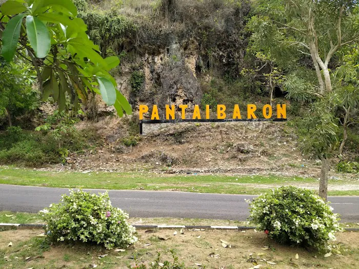Taman Bunga Celosia Pantai Baron 7