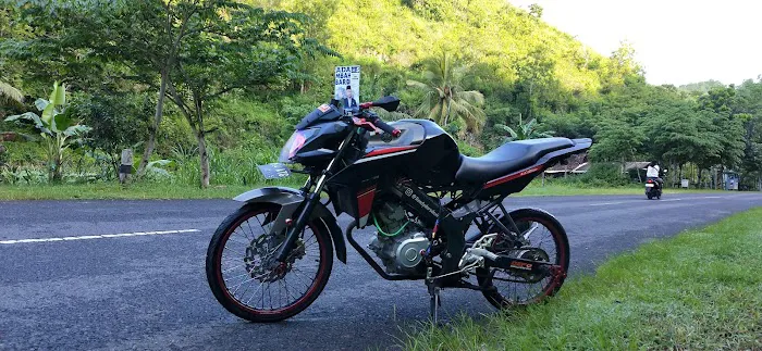 Taman Bunga Celosia Pantai Baron 6