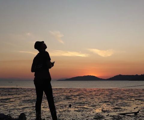 Taman pantai panjang hiu paus