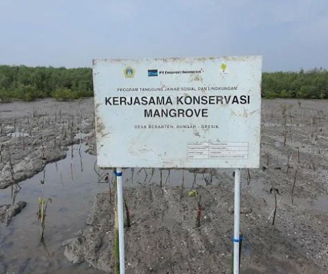 Konservasi mangrove PT Freeport Indonesia, Desa Karangrejo