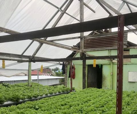 Moreira Farm