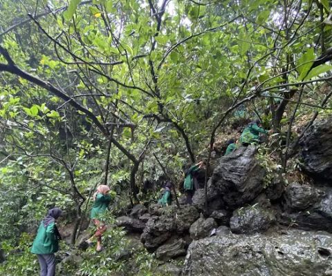 Air Terjun Jurug Lorejo
