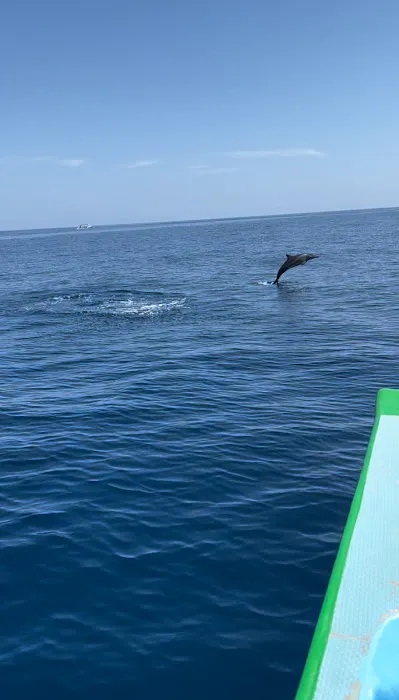 Victory Dolphin Snorkeling Anturan 0