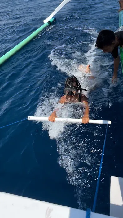 Victory Dolphin Snorkeling Anturan 1