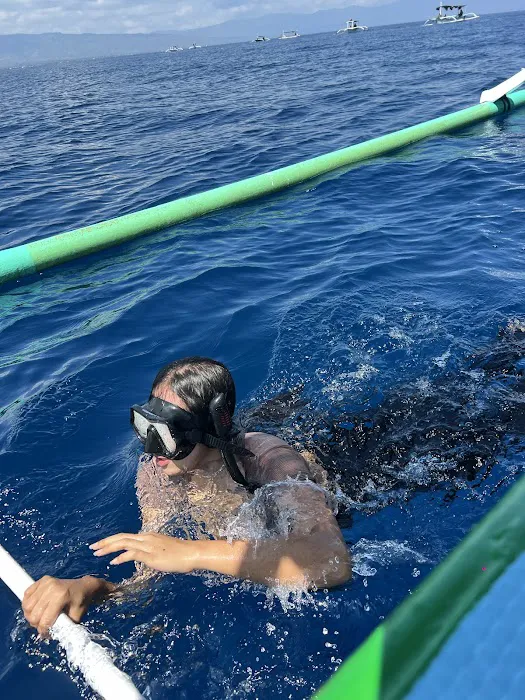 Victory Dolphin Snorkeling Anturan 3