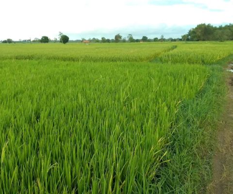 Rumah aldan