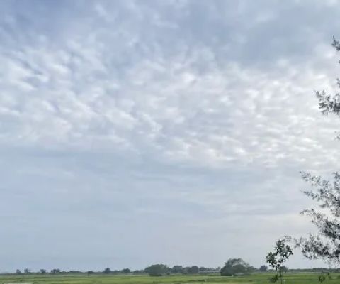 Spot Foto Pinggir Sawah