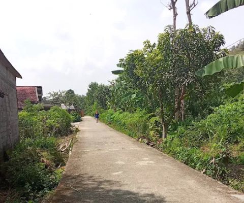 Puncak Kuncen