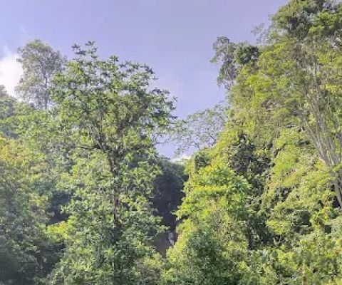 Bukit Air Terjun Cakraningrat