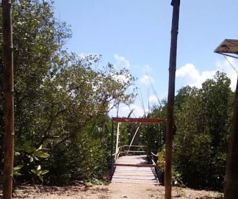 Eko Wisata Gunung Pithing Mangrove Conservation