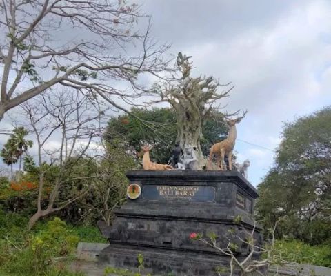 Patung Taman Nasional Bali Barat