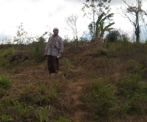 Kedatuk Montong