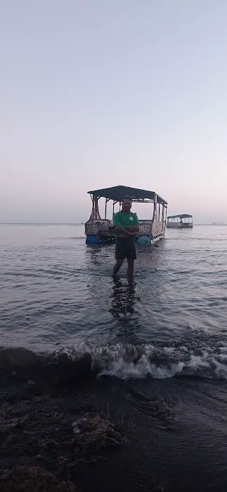 Apung Sibolang 8