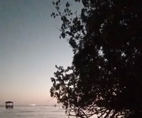 Apung Sibolang