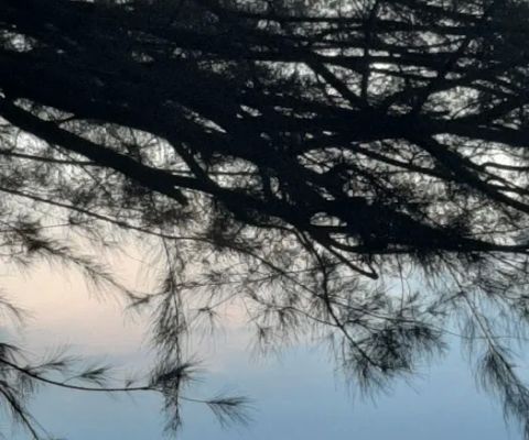 Pantai Cemara Indah