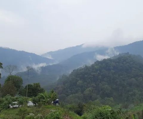 Gunung tongantong