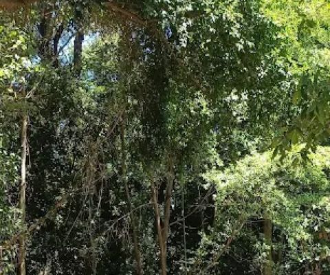 Taman Kodok/Kesambi